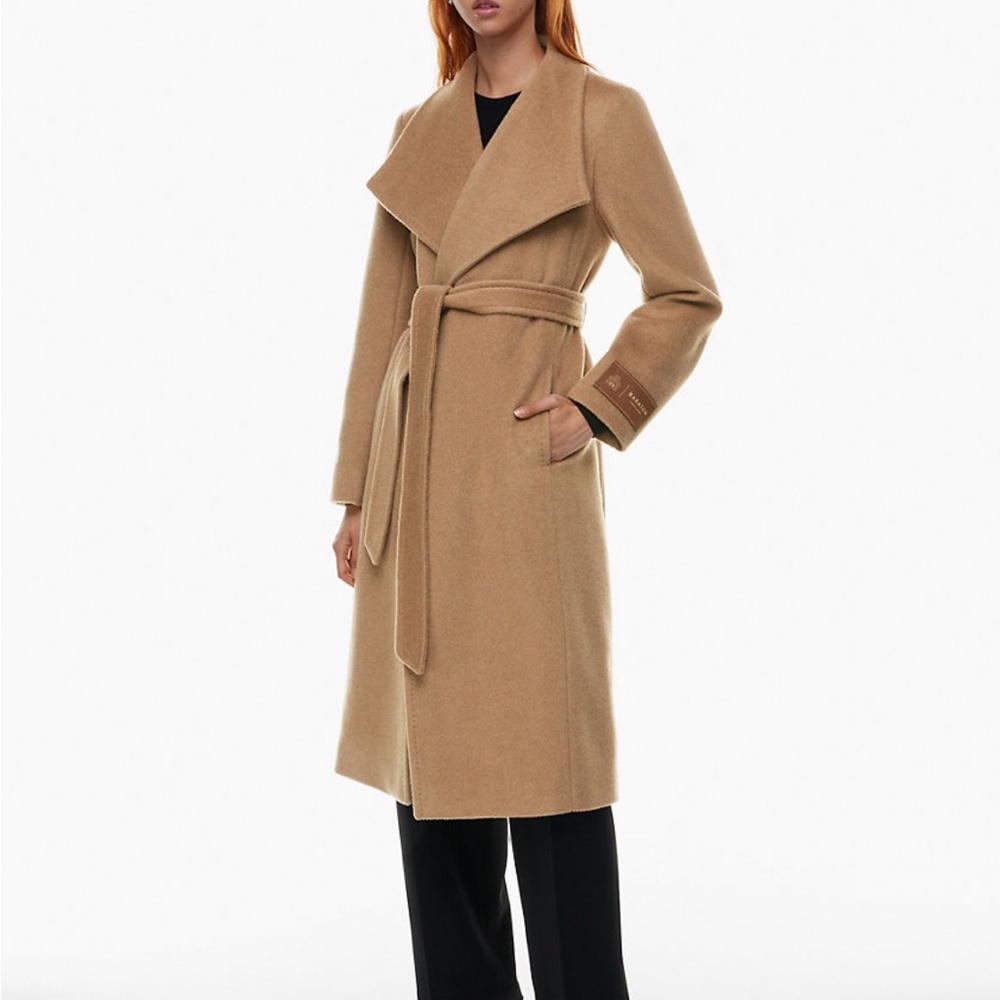 Aritzia Babaton Montage Coat
